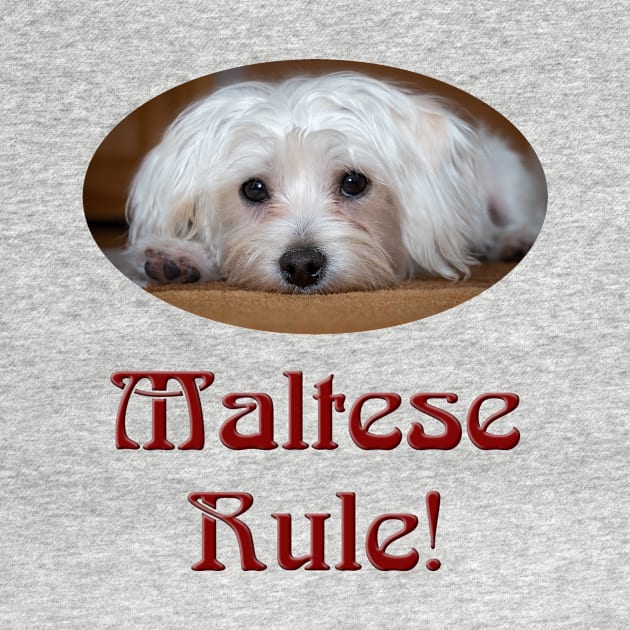 Maltese Rule! by Naves